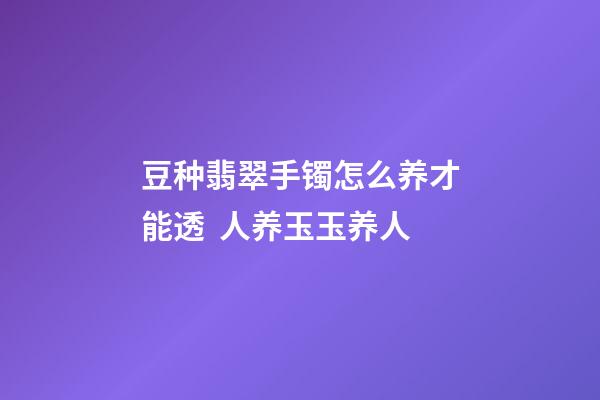 豆种翡翠手镯怎么养才能透  人养玉玉养人